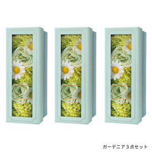 1~7cƓo yPi&3_ZbgzfCYCu[ bright flowers oXt[Mtgin[tjDays in Bloom  ̓  ~jMtg v`Mtg oXMtg bg ܂Ƃߔ z