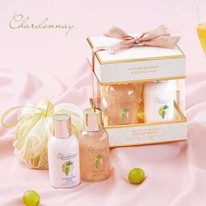 MtgZbg Vhl Xp[NO oX{fB[PAZbg Chardonnay uhE v[g 킢 ێ {fBPA 
