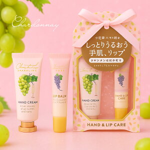 Vhl Xp[NO nhN[bvPAZbg Chardonnay MtgZbg {fBPA ێ  av[g ̓