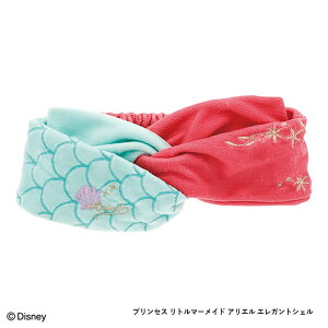 y}\P10{zwAhC^I fBYj[ vZX GKgwAoh AG P ̏̃vcF Disney Zone