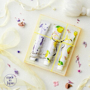 { nhN[20g ZbgA x_[EYE VR100 nhPA v`Mtg  z lߍ킹pƂĂ