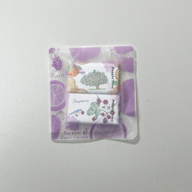 People Tree ミニチョコセット 限定パッケージ 2個入 オーガニック フェアトレード ミルク＆ヘーゼルナッツ オレンジ＆ラズベリー 白砂糖不使用 添加物不使用 ココアバター 植物油脂不使用 美味しい 可愛い おしゃれ 期間限定 冬季限定 ピープルツリー チョコレート ギフト