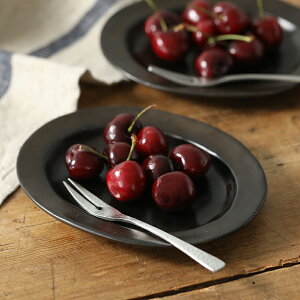 SALUS ȂݒƖژaJg[ tH[N t[c َq mَq aَq Jg[ P[LtH[N  SALUS Jg ȂݒƖژa G H aH { XeX JtF V