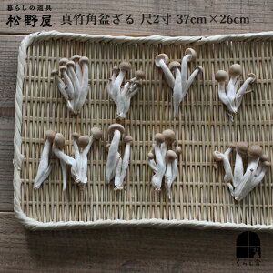 쉮@^|p~2 37cm ^| ؂    lp 肵 VRf Y { VR ~d  VC^P