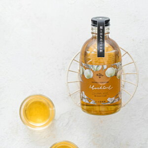 ނ|̊v MY HONEY VINEGAR Mocktail Ƃ݂͂̂| Ne HONEY VINEGAR MOCKTAIL 300ml@݂͂ ނ| N e u₩  K Vo v   Mtg wV[ h
