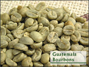 �O�@�e�}�� �I�ׂ������� 200g �y�X�g���[�g�R�[�q�[�z�@�A�v���R�b�g�̂悤�ȃt���[�c�n�̃A���}�Ƌ����_���B