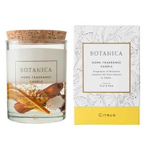 {^jJ Lh VgX BOTANICA CANDLE CITRUS Ki 낤/XC/gx/AEghA/[/L/ 炬/tOX/~Xg/F/A}/Mtg/v[g///bNX