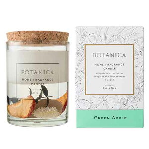 {^jJ Lh O[Abv BOTANICA CANDLE GREEN APPLE Ki 낤/XC/gx/AEghA/[/L/炬/tOX/~Xg/F/A}/Mtg/v[g//