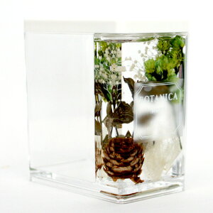 BOTANICA }`X^h O[ Green Multi Stand {^jJ z[ HOME Ki [/{bNX//y/Xc[/fXN/ItBX/ݑ[N/BOX/gift/room/office