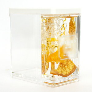 BOTANICA }`X^h IW Orange Multi Stand {^jJ z[ HOME Ki [/{bNX//y/Xc[/fXN/ItBX/ݑ[N/BOX/gift/room/office