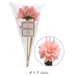 SIGNAL VOi t[fBt[U[p[hXeBbN tB ԕt _A Dahlia LCmxCg Ki refill/A}/Mtg/ou[XeBbN/A} lւ