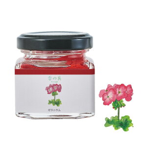 GRASSE TOKYO ̋uviREj[jE 35ml r^Cv kanogu "Red" GeraniumiWatercolor paint with fragrancejO[XgELE Ki G/A}/Mtg/v[g///bNX/ar