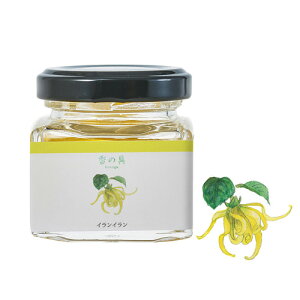 GRASSE TOKYO ̋uviYEjCC 35ml r^Cv kanogu "Yellow" (Watercolor paint with fragrance) O[XgELE Ki G/A}/Mtg/v[g///bNX/arom