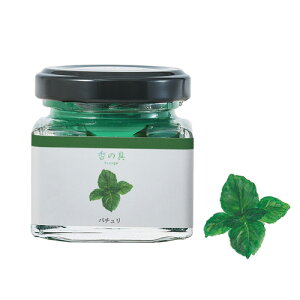 GRASSE TOKYO ̋u݂ǂviGRjp` 35ml r^Cv kanogu "Green" (Watercolor paint with fragrance) O[XgELE Ki G/A}/Mtg/v[g///bNX/aroma/gift