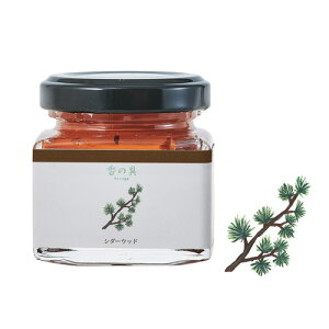 GRASSE TOKYO ̋uႢviBRjV_[Ebh 35ml r^Cv kanogu "Brown" (Watercolor paint with fragrance) O[XgELE Ki G/A}/Mtg/v[g///bNX/ar