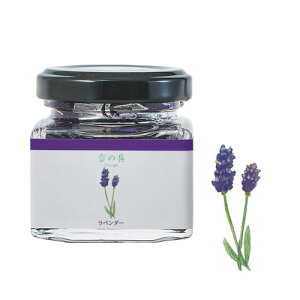 GRASSE TOKYO ̋uނ炳viPUjx_[ 35ml r^Cv kanogu "Purple" (Watercolor paint with fragrance) O[XgELE Ki G/A}/Mtg/v[g///bNX/arom