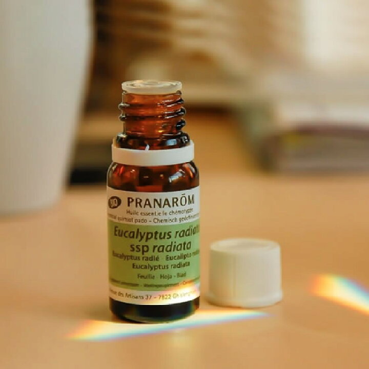 楽天市場】プラナロム ユーカリ ラディアタ 10ml プラナロム アロマ 
