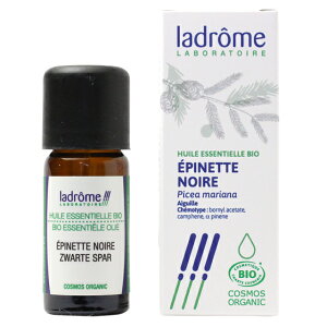 I[KjbN GbZVIC ubNXv[X/h[/