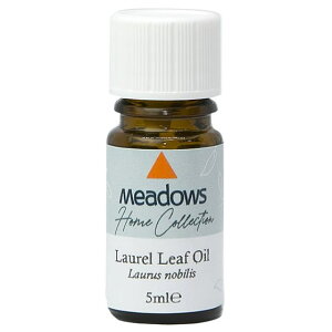 hEY A}IC [ [t 5mlxC [tMeadows  GbZVIC