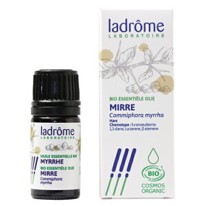 h[ ~ 5mllI[KjbN A}IC vyz GbZVIC ladrome