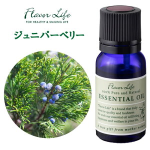 t[o[Ct Wjp[׃[ 10ml A}IC