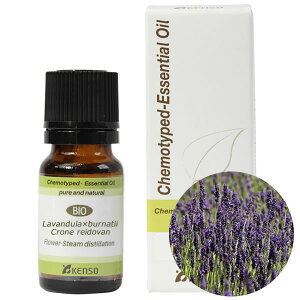 ������w�� ���x���_�[ ���C�h�o���y�v���i�����̂��̂̓x���M�[�Ő����I���ɂȂ�܂����B�z