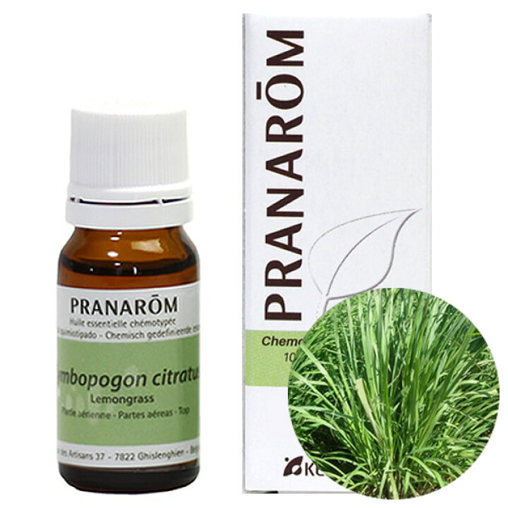 楽天市場】プラナロム レモングラス 10ml プラナロム アロマオイル 