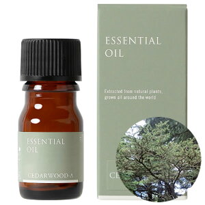 ̖ A}IC V_[EbhEAgX  3ml