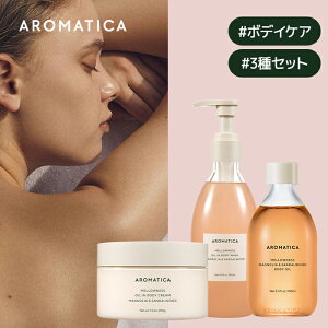 y A}eBJ  zy ElX {fB EHbV & N[ & IC 3 Zbg z {fB\[v A}es[  GbZV IC AR t[ ێ  c 