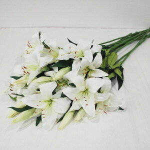 カサブランカ 花 ピンクの人気商品 通販 価格比較 価格 Com カサブランカ 花 ピンクの人気商品 通販 価格比較 価格 Com