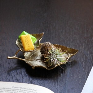  u g[ gC MIuWF fBXvC G Gݗt [t leaf F gold `[tG݌ u u  rOANZT[gC 2[t