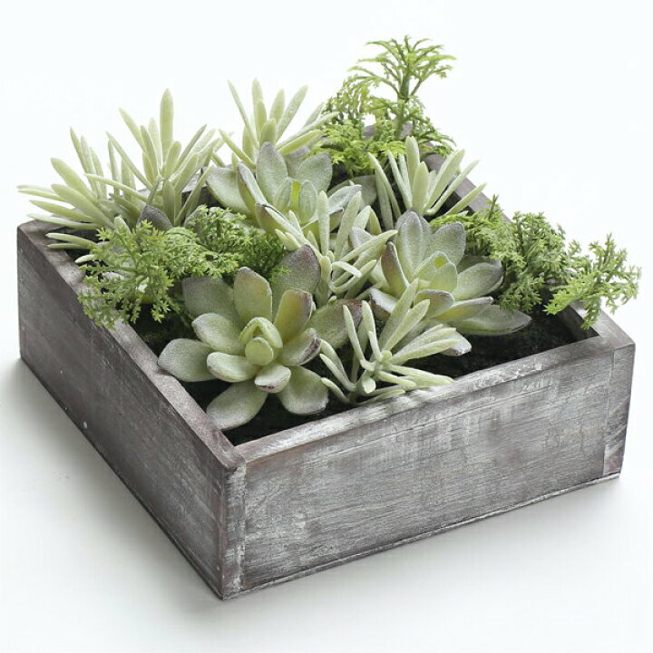 楽天市場 造花 多肉植物 セダム 寄せ植え 寄植え 寄植サキュレント アートフラワー フェイクグリーンイミテーションフラワー ミニグリーン 壁掛け 壁飾りインテリア雑貨 ナチュラル雑貨 ディスプレイフェイクフラワー セダム ボックス Aromdee