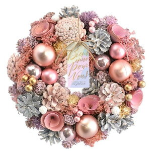 [X NX}X sN ~[X ԃ[Xԗ i`[X ~[X   24cmIuWF EH[fBXvC Ǐ Ǌ|A[gEH[ EH[fR[V 