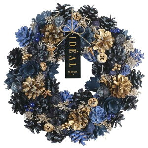 [X NX}X Vp S[h ~[X ԃ[X ԗ i`[X ~[X   35cm IuWF EH[fBXvC Ǐ Ǌ| A[gEH[ EH[fR