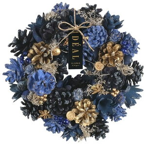 [X NX}X Vp S[h ~[X ԃ[X ԗ i`[X ~[X   25cm IuWF EH[fBXvC Ǐ Ǌ| A[gEH[ EH[fR