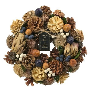 [X nEB H[X ԃ[X hCt[ԗ i`[X 25cm HFJ[  փIuWF EH[fBXvC EH[fR[VA[gEH[ Ǐ 