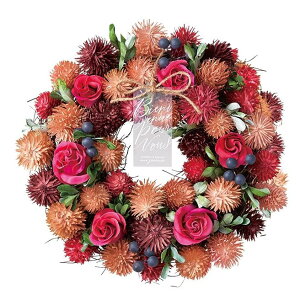 [X t t[X XvO[X ԗ փA[gt[ hCt[  24cm x[ tFJ[ A[gEH[ Ǐ Ǌ|EH[fBXvC EH[fR[V