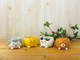 楽天市場 虫よけ ゴキブリ 玄関の通販