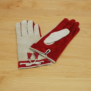  fB[X v ؊v g H~~ h h oCN ] ʋ ʊw JCC 킢 v[g IV  MtgU[ 2F  x[WCOOCO^XG[h O