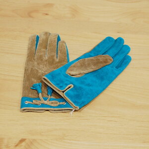  fB[X v ؊v g H~~ h h oCN ] ʋ ʊw JCC 킢 v[g IV  MtgU[ 2F ^[RCY x[WCOOCO^XG