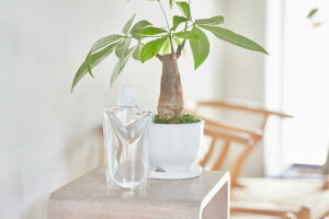 A͍ ϗtA  nPCft̔엿 h{ ͉t ǍNזEgD זEǋ R{ lւ |Cgx[X lփpE` 300ml