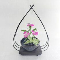 楽天市場】炭 インテリア（花瓶｜インテリア小物・置物）：インテリア 