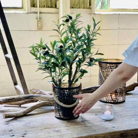 鉢カバー プランターカバー おしゃれ オシャレ大型 5号 6号 155mm 205mm 20cm 30cmグリーン 黒 ゴールド 金　キャンドルホルダーランタンケース 多目的ボックスSPICE/スパイスアイアン サークルボックス 2サイズセットブラックシェード