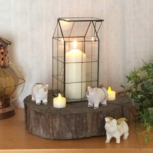 KX OX ԕr Ԋ eE Lhz_[K[fjOG CeAG ACAG݃KXP[X AeB[N g IuWF ꔫJo[ fBXvCP