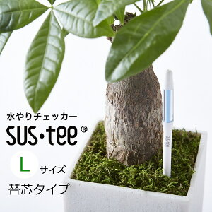 |Cg v Apv 薼lXeBbN^v CWP[^[ m6`12 26cm [   zCg O[ { sustee TXeB[susEtee/TX