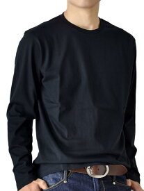 Tシャツ メンズ 無地 ストレッチ 長袖 クルーネック Vネック ロンT ロングTシャツ メンズファッション トップス 服【メール便送料無料《M1.5》】【1-A4V】