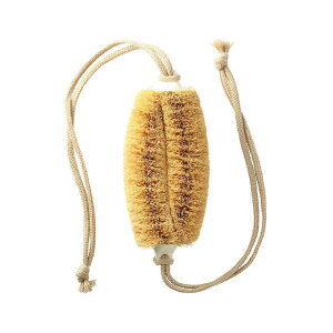 yv[gLy[zЂt@jVI@`T̎qqX`