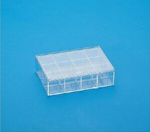 fXR BI 12S t^t NAP[X`vHƁ`