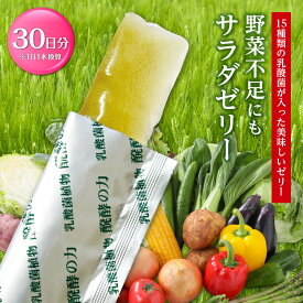 スーパーセール 【 10%OFF 6/11~01:59まで 】青汁ゼリー 栄養バランス サラダゼリー 【30包】りんご酢味 青汁 ゼリー 栄養補給 栄養食品 エネルギー摂取 ビタミン ミネラル カルシウム 鉄 亜鉛 健康 栄養補給 乳酸菌 酵素 腸免疫力 ファスティング 国産 健康食品 送料無料