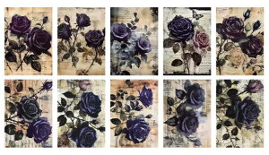 KN fUCy[p[ yv20^@10×e2zBe[W y[p[ fގ@wi  CO R[Wf _[WH@SVbN@z@[Y@KN@g@A